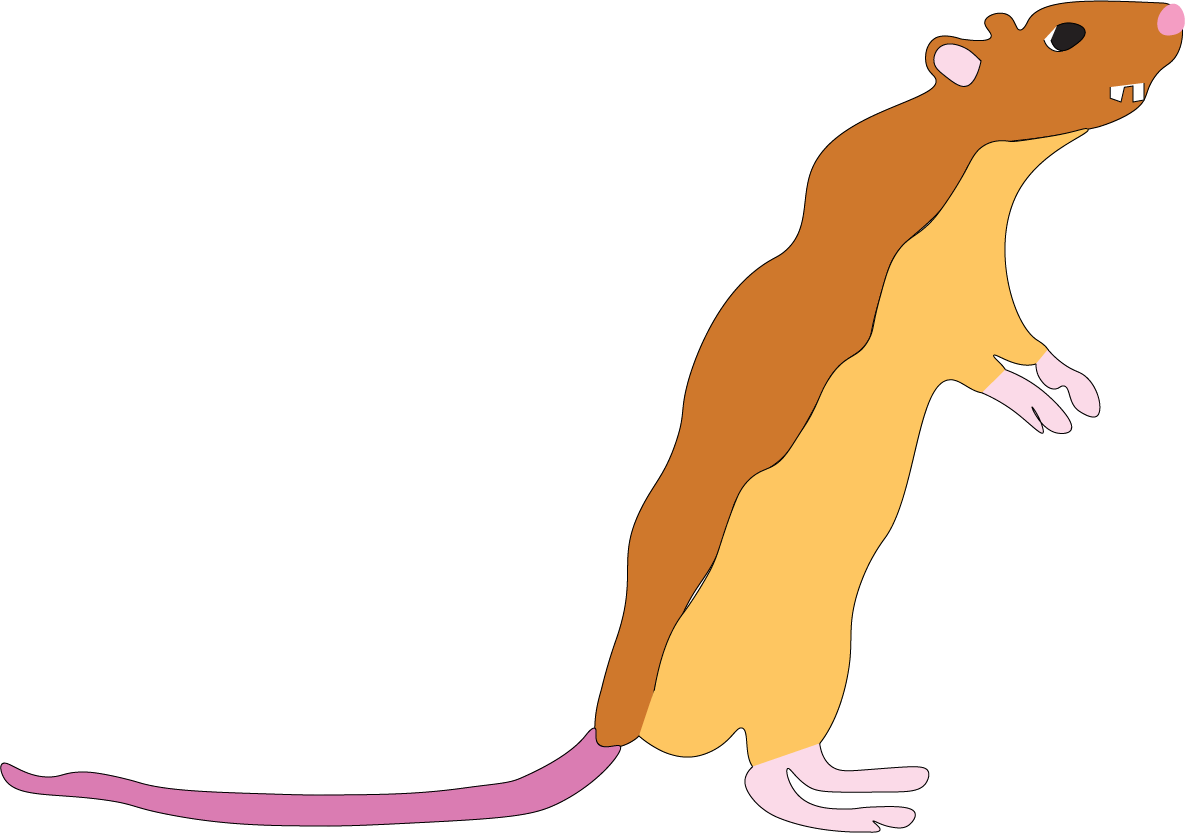 animal cartoon