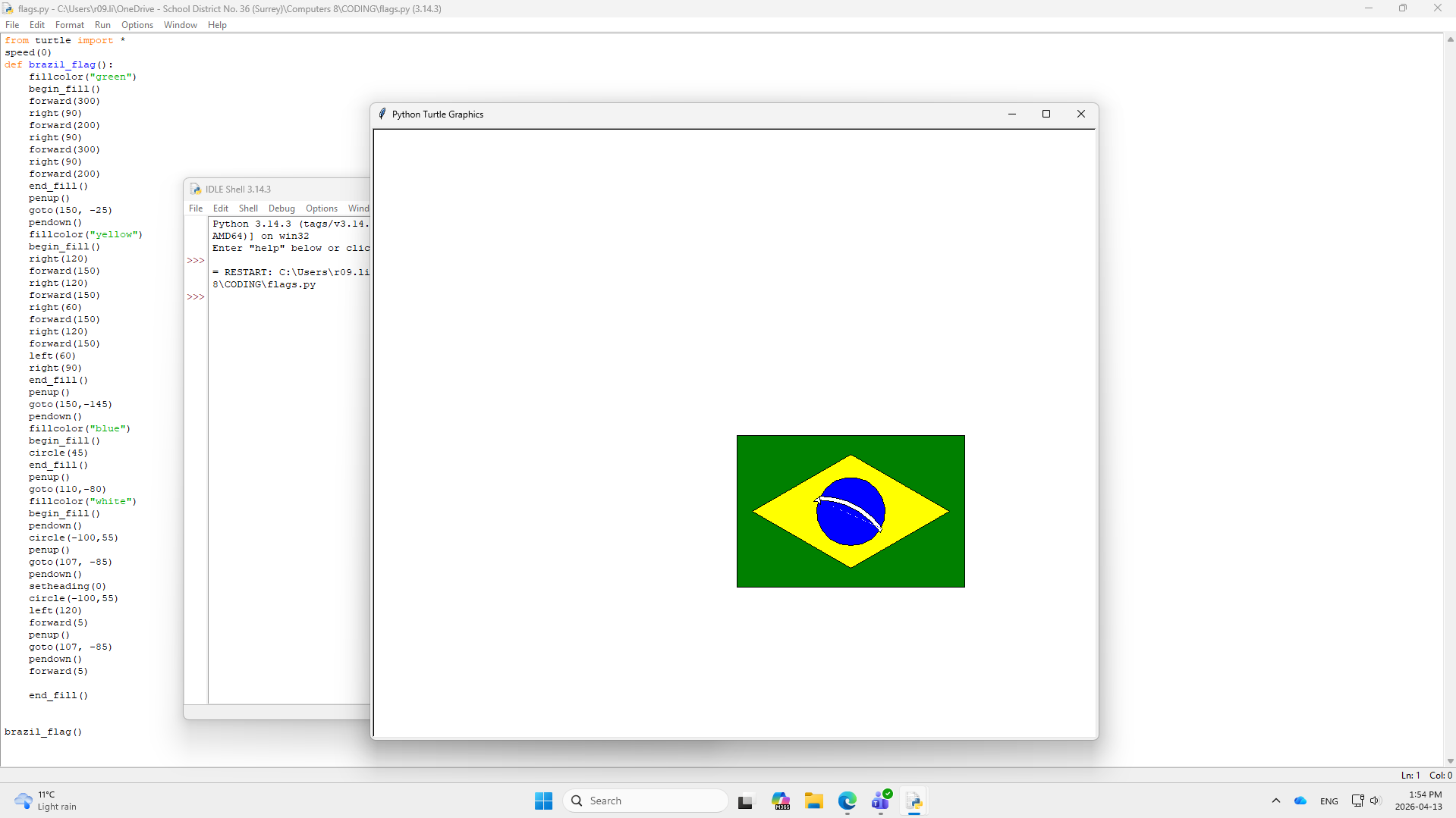 flag project result