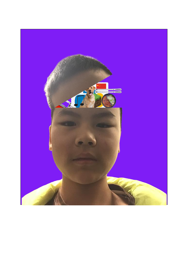 inside my head project